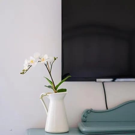 Hanna Cozy Old Stone House Holiday home Murter